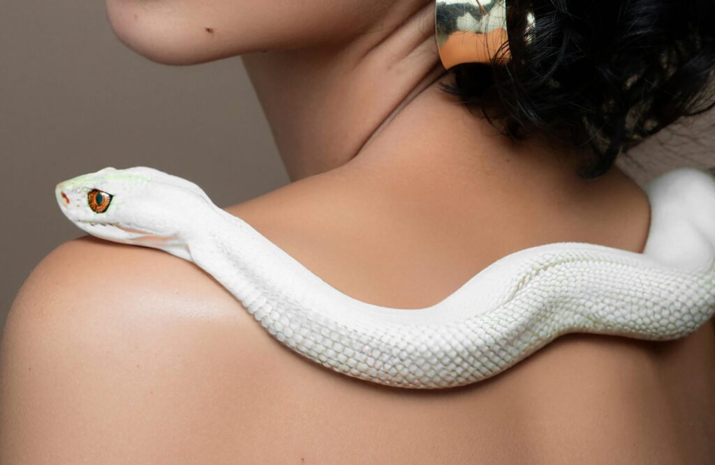 A woman posing elegantly with a white snake on her shoulder, showcasing grace and allure.