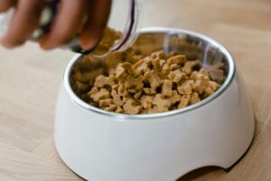 Close-up of hand pouring dog biscuits into a bowl, perfect for pet care themes. Blue Heeler (Australian Cattle Dog)